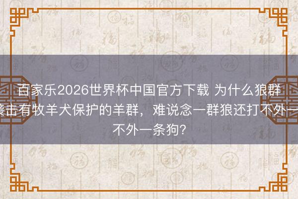 百家乐2026世界杯中国官方下载 为什么狼群不敢袭击有牧羊犬保护的羊群，难说念一群狼还打不外一条狗?
