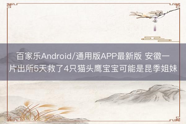 百家乐Android/通用版APP最新版 安徽一片出所5天救了4只猫头鹰宝宝可能是昆季姐妹
