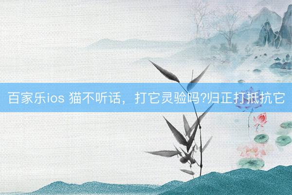 百家乐ios 猫不听话，打它灵验吗?归正打抵抗它