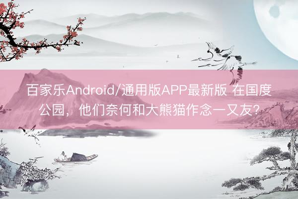 百家乐Android/通用版APP最新版 在国度公园，他们奈何和大熊猫作念一又友?