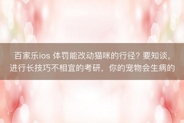百家乐ios 体罚能改动猫咪的行径? 要知谈，进行长技巧不相宜的考研，你的宠物会生病的