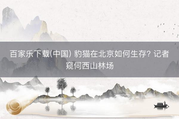 百家乐下载(中国) 豹猫在北京如何生存? 记者窥伺西山林场