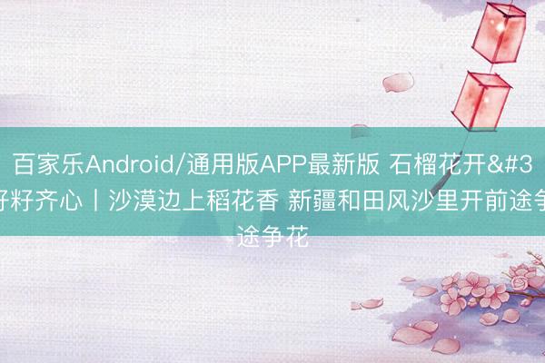 百家乐Android/通用版APP最新版 石榴花开 籽籽齐心丨沙漠边上稻花香 新疆和田风沙里开前途争花
